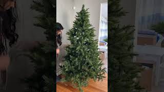 How to put up lights on a tree ollnyclusterlights christmasdecor [upl. by Maurine]