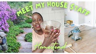 I hopped onto the MEET MY HOUSEKEEPER CHALLENGE  Sustainable living with Jess [upl. by Roderigo]