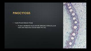 Endocytosis and Exocytosis [upl. by Kciregor]