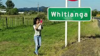 Whitianga Trip New Zealand [upl. by Iraam]