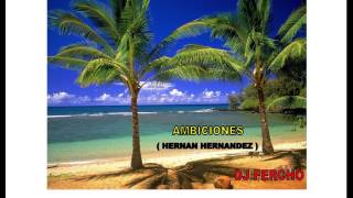 AMBICIONES  HERNAN HERNANDEZ [upl. by Xylon259]