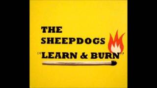 The Sheepdogs Learn amp Burn I Dont Get By [upl. by Noynek]