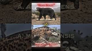 Andrewsarchus VS Arctotherium amp Smilodon VS Daeodon edit prehistoricanimals 1v1 [upl. by Esilahc]