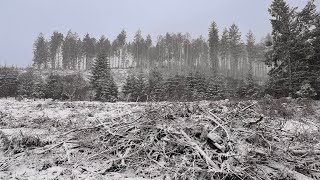 Kielder Forest  Snow fall Feb 2024 [upl. by Neetsirk]