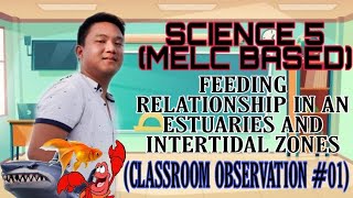 COT 01 FEEDING RELATIONSHIP IN AN ESTUARIES AND INTERTIDAL ZONES GRADE 5 SCIENCE VIDEO LESSON [upl. by Janik]