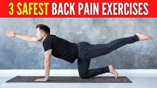 3 Safest Lower Back Pain Exercises FOR LONG LASTING RELIEF [upl. by Kassi666]