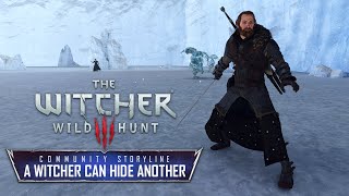 The Witcher 3 A Witcher Can Hide Another A Community Storyline Spoilers Alert [upl. by Reagen559]