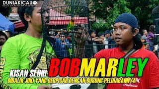 KISAH SEDIH Dibalik JOKI Yang Berpisah Dengan Burung Peliharaannya [upl. by Sedecram]