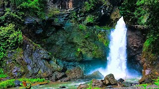 Nature Sounds Waterfall for Relaxation Meditation Relaxing Calm River Water flow for Sleeping [upl. by Kirtley639]