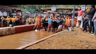 Kambala Start  Kakyapadavu Sathya Darma Kambala  2024 [upl. by Aniweta]