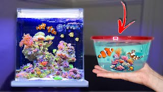 I Bought SEA CREATURES For My MINI Saltwater Aquarium [upl. by Anirbac725]