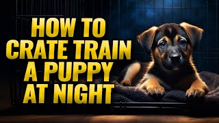 Nighttime Crate Training for Puppies A StepbyStep Guide [upl. by Grace]