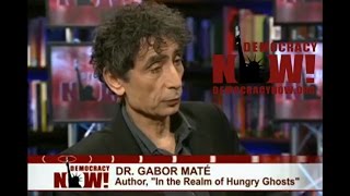 Gabor Maté StressDisease Connection Addiction Children Democracy Now [upl. by Allicserp]