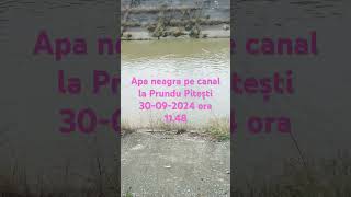 Apa neagra pe canal la Prundu Pitești 30092024 [upl. by Siari]