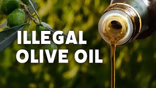 we committed olive oil fraud [upl. by Matt]