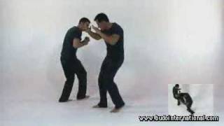 Wing Tsun Wing Revolution Victor Guitierrez [upl. by Ledba]