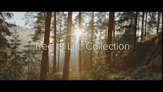 Clogau  The Tree of Life® Collection [upl. by Adnovay]