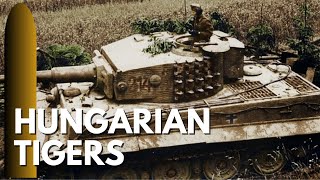 Tigers and Panthers in the Hungarian Army [upl. by Carberry]