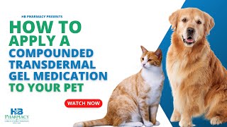 How To Apply A Compounded Transdermal Gel Medication To Your Pet [upl. by Tloh]