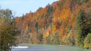 Deisenhofen amp Oberland Sommer amp Herbst 2009 Radtouren [upl. by Phene]