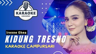 Karaoke  KIDUNG TRESNO  IRENNE GHEA  LANGGENG MUSIC DIGITAL [upl. by Giustino320]