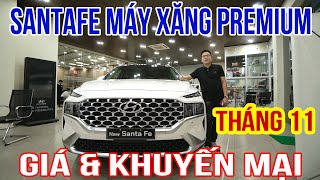 Hướng Dẫn Chi Tiết Sử Dụng Hyundai Santafe Từ AZ [upl. by Issie849]