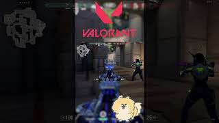 Prelude to Chaos Vandal 4kill【VALORANT】Shorts [upl. by Obrien990]