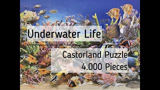 Doing the 4000 Pieces Jigsaw Puzzle quotUnderwater Lifequot by Castorland a Time Lapse Video [upl. by Haek935]