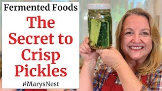 How to Make CRISP Lacto Fermented Pickles  A Probiotic Rich Food [upl. by Jedediah167]