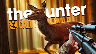 ออกล่าชิวๆไม่เห็นสักตัว   theHunter Call of the Wild [upl. by Bena812]