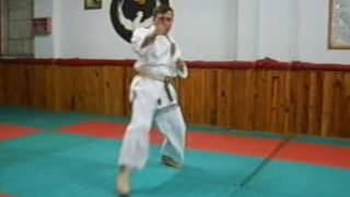 Wado Ryu KarateRenraku Waza 1Maegeri Gyakuzuki [upl. by Haliak]