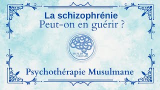 049 La schizophrénie  Peuton en guérir [upl. by Ailahtan160]