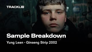 Sample Breakdown Yung Lean  Ginseng Strip 2002 [upl. by Belinda219]