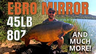 Incredible Fishing Adventure Landing a Massive 45 lb 8 oz Mirror Carp in the Ebro River [upl. by Noyar]