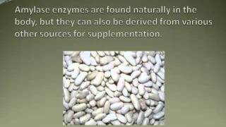 Benefits of Amylase Supplement [upl. by Anjali]