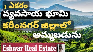 land for sale karimnagar [upl. by Niabi852]