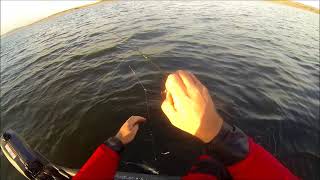 Scottish Kayak Fishing Part 52 Cocklawburn Beach near Berwick [upl. by Ssur425]