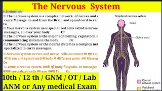 Nervous System  CNS amp PNS  Types of NS  OT GNM  ANM or Any medical students  तंत्रिका तंत्र [upl. by Kcirej]