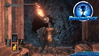 Dark Souls 3  Where to find Untended Graves Secret Area Untended Graves Trophy Guide [upl. by Pembrook]