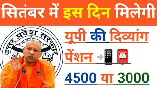 Divyang Pension UP Latest Update 2024  Viklang Pension New Update  Pension  UP विकलांग पेंशन [upl. by Zoldi]