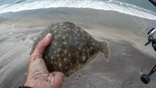 Catching Red Drum on the Eastern Shore of VA [upl. by Irene545]