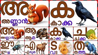 Malayalam swaraksharangal vyanjana aksharangal അ ആ ഇ Malayalam vowels And consonants [upl. by Windy]