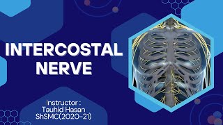 Intercostal Nerve Explained  Full Systemic lecture link in Description [upl. by Malley]