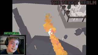 Meeuw Insane Seagull Sim Meeuw Indie Game [upl. by Bodnar985]