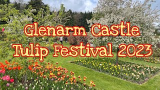 Glenarm Castle Tulip Festival Video 2023 [upl. by Greenquist354]