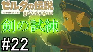 【BotWのんびり編】マスターモードの剣の試練じゃあああああ【ゼルダの伝説 ブレスオブザワイルド】 [upl. by Shipman]