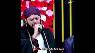 Ab to na rok ya ghani  Hafiz Tahir Qadri Status 2024 hafiztahirqadri statusvideo shortvideo [upl. by Holmen927]