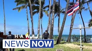 39yearold surfer dies after suffering shark bite off Maui [upl. by Artemisa4]