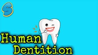 Dentition and dental formula በአማርኛ Grade 7 Biology Unit 3 Part 3 [upl. by Elmo]