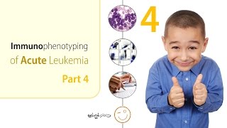 Immunophenotyping of Acute Leukemia  Part 4 of 4 [upl. by Schmeltzer]